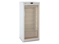 Холодильник фармацевтический Бирюса 250S-GB5G1B
